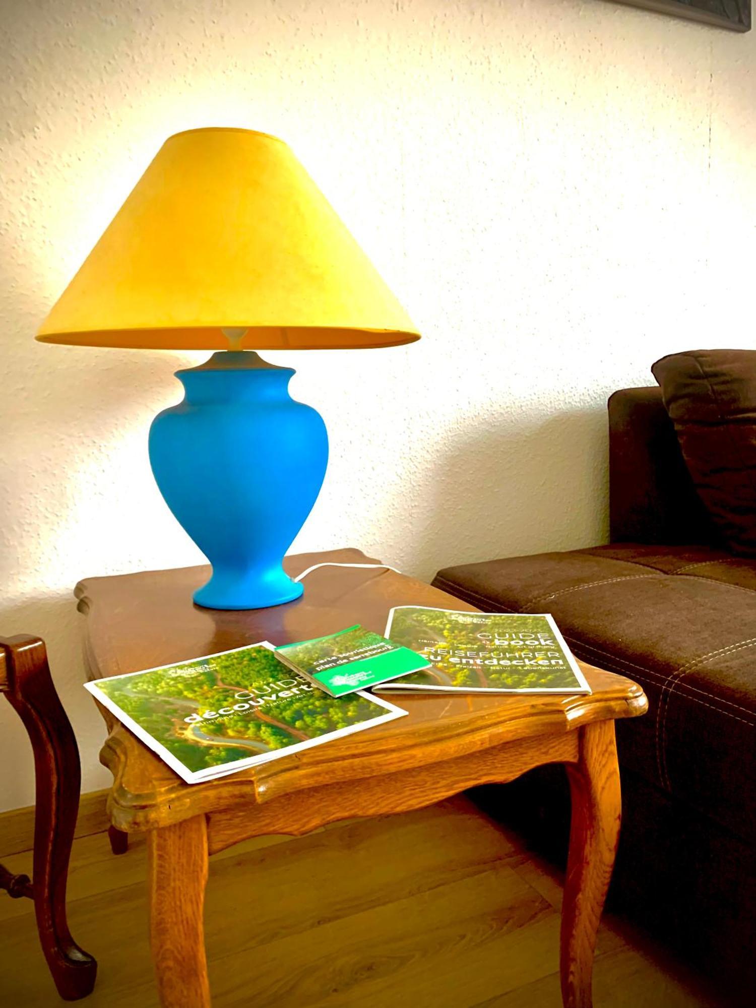 L Indemodable Renove Spacieux Et Lumineux Avec 2 Chambres Sarrebourg Luaran gambar